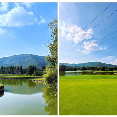 La Corte Del Bona - Vicino Alle Cantine E A Circa 15 Minuti Dal Lago Di Iseo - Διαμέρισμα Erbusco Εξωτερικό φωτογραφία