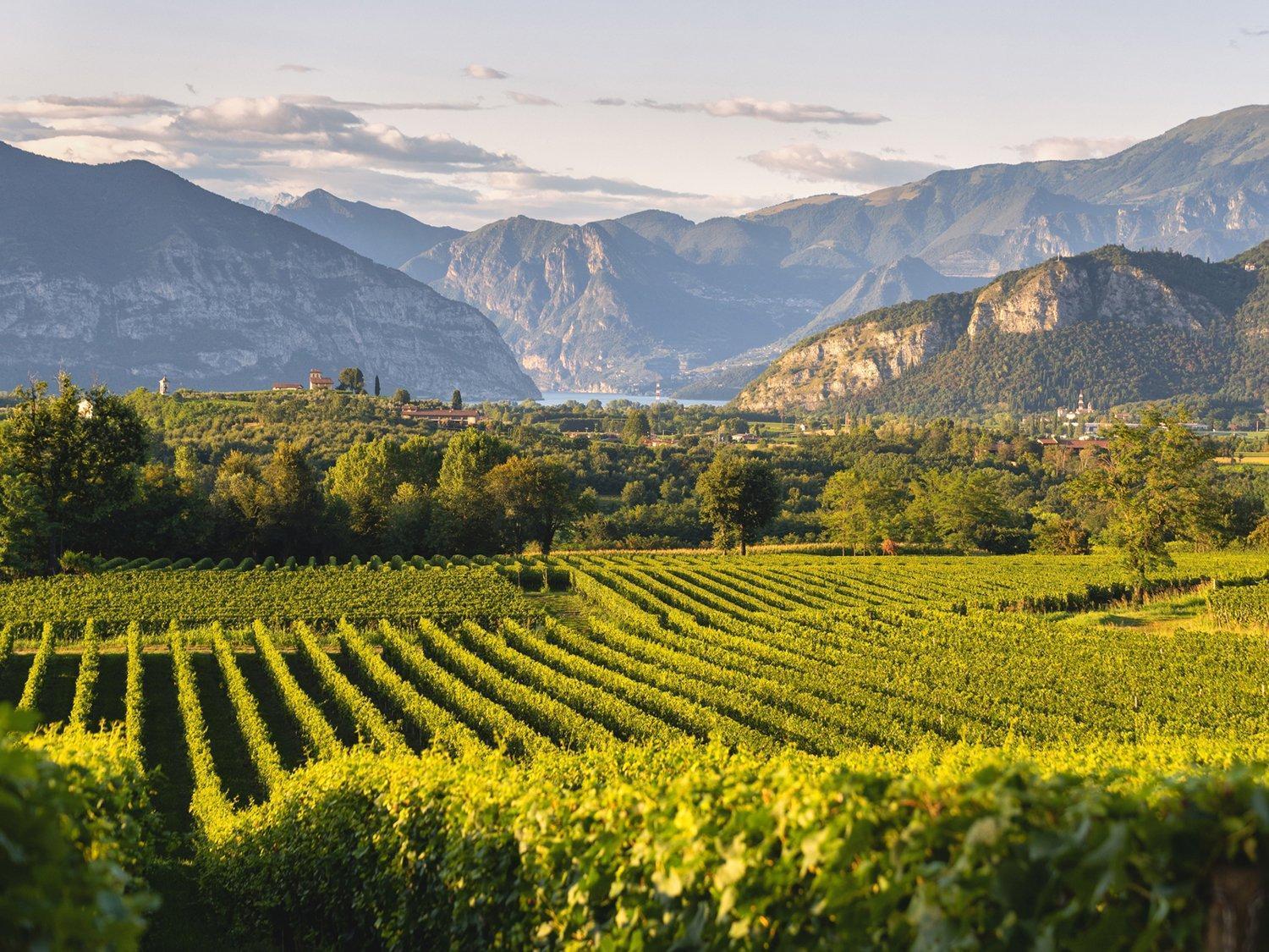 La Corte Del Bona - Vicino Alle Cantine E A Circa 15 Minuti Dal Lago Di Iseo - Διαμέρισμα Erbusco Εξωτερικό φωτογραφία
