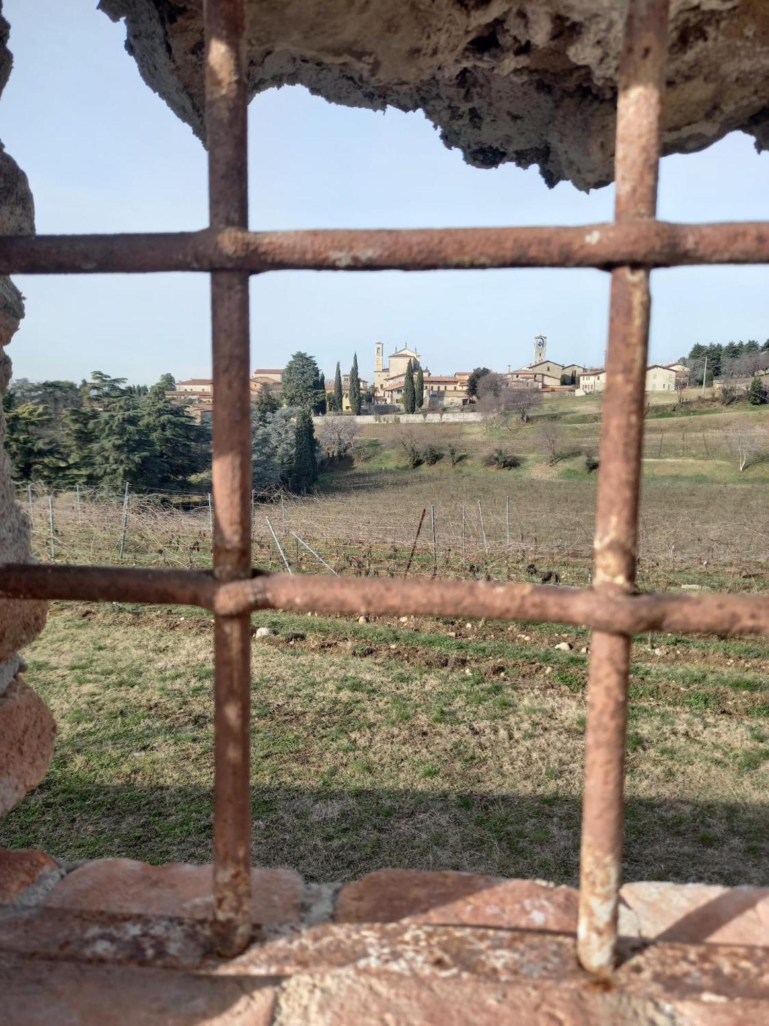 La Corte Del Bona - Vicino Alle Cantine E A Circa 15 Minuti Dal Lago Di Iseo - Διαμέρισμα Erbusco Εξωτερικό φωτογραφία