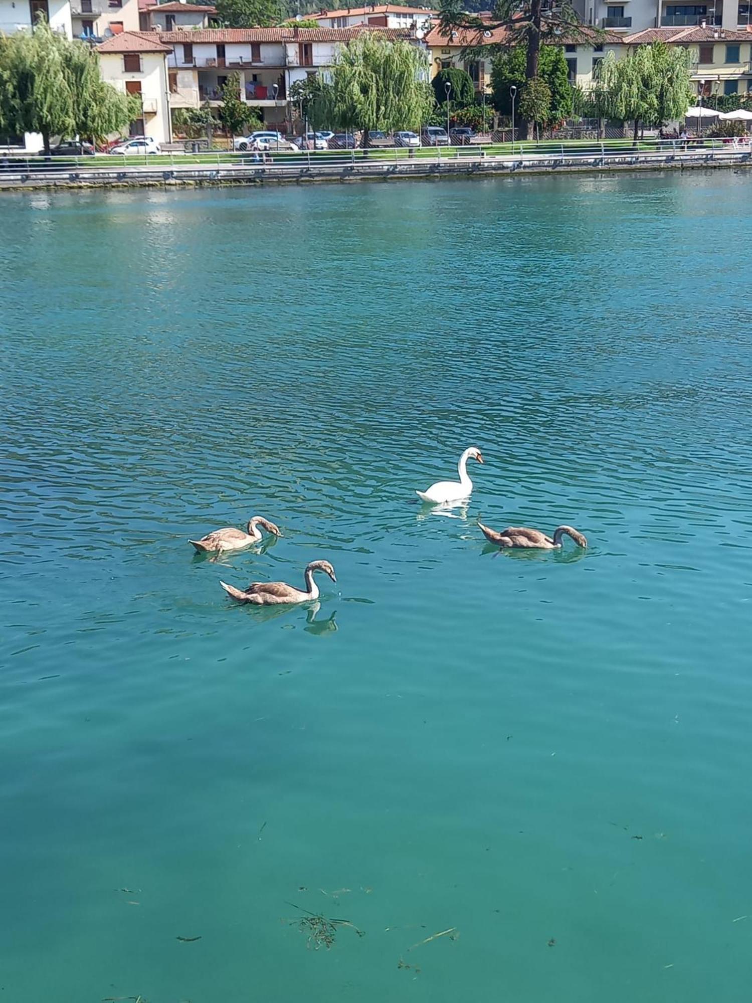 La Corte Del Bona - Vicino Alle Cantine E A Circa 15 Minuti Dal Lago Di Iseo - Διαμέρισμα Erbusco Εξωτερικό φωτογραφία